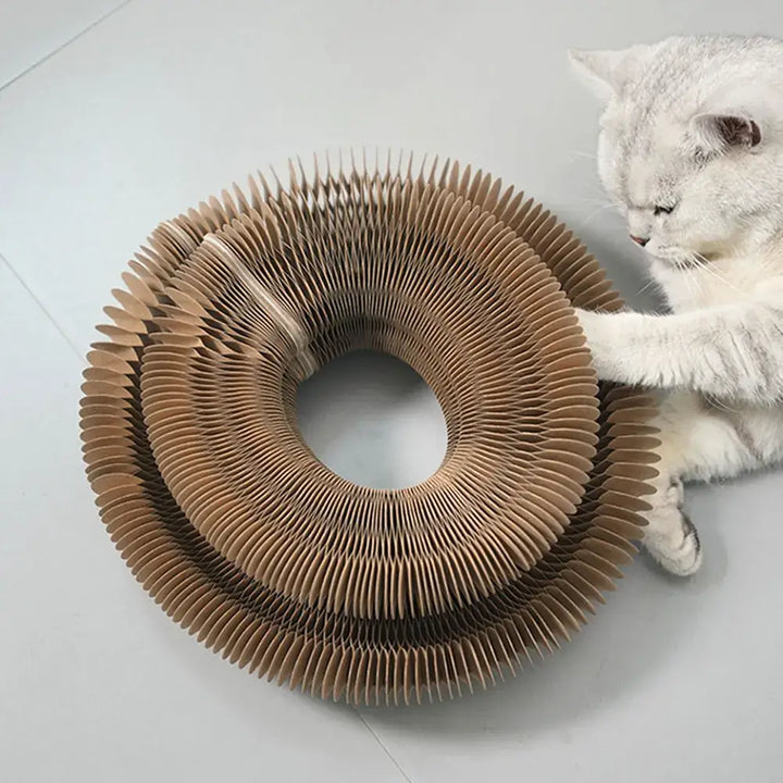 Interactive Magic Organ Cat Scratcher ToyAccordion Style Cat Claw Grinding Board Pet - Ebtkr