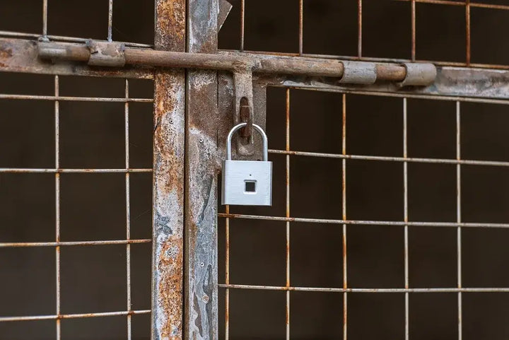 KERUI Smart Fingerprint Padlock – Keyless, Anti-Theft - Ebtkr