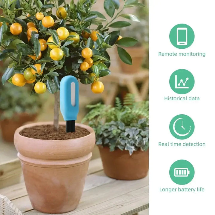Tuya/Zigbee Smart Soil Tester WiFi Humidity & Temperature Moisture Sensor - Ebtkr