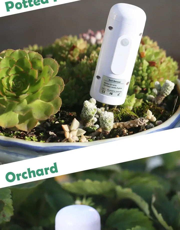 ZIGBEE Plant Monitor Outdoor Soil Temperature And Moisture Humidity Tester Sensor for Garden - Ebtkr