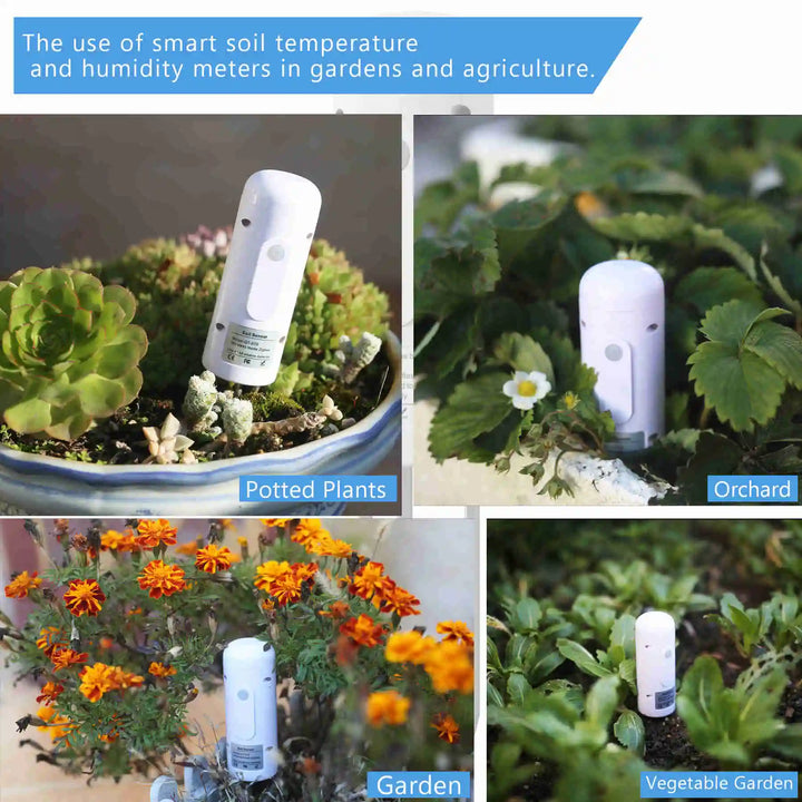 ZIGBEE Plant Monitor Outdoor Soil Temperature And Moisture Humidity Tester Sensor for Garden - Ebtkr