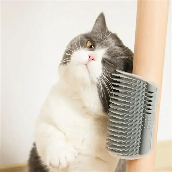 Pet Massage Brush with Hair Removal Function - Ebtkr