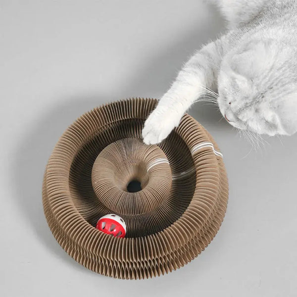 Interactive Magic Organ Cat Scratcher