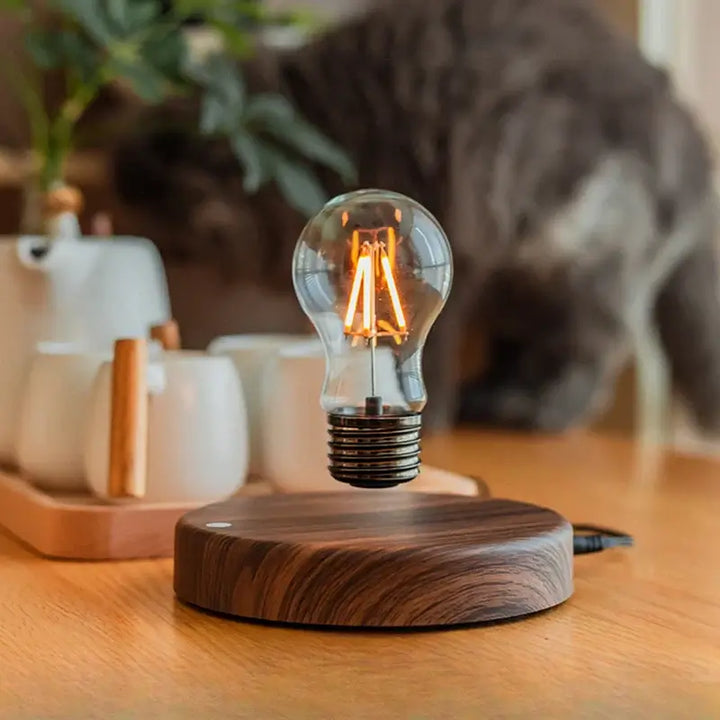 Magnetic Levitation Globe Night Light