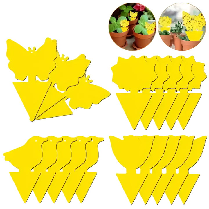 Butterfly & Sunflower Double-Sided Yellow Insect Traps