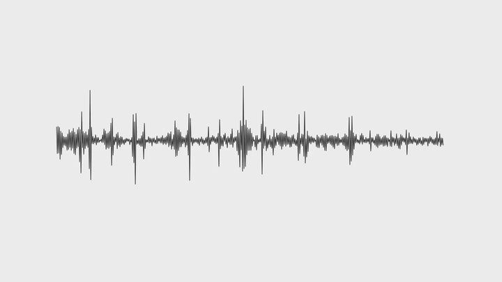AI-Powered Voice Recorder, Video