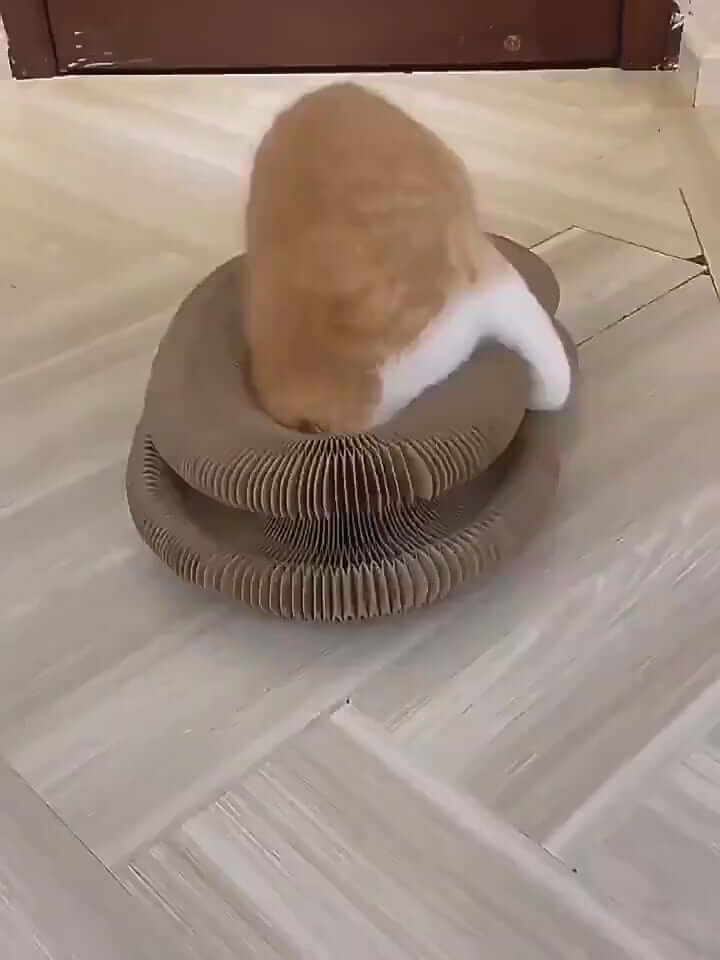 Interactive Magic Organ Cat Scratcher, Video