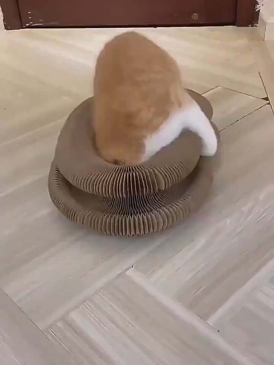 Interactive Magic Organ Cat Scratcher, Video